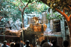 Lions Habitat at MGM Grand